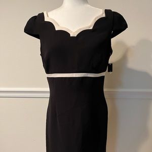 NWT White House Black Market Scallop Dress